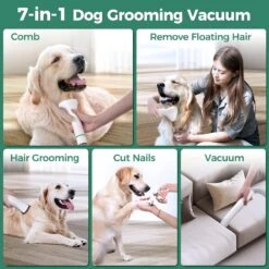 7-in-1 Dog Grooming Vacuum & Vacuum Suction, Low Noise , Professional Doggy Vacuum With 5 Proven Grooming Tools -MPOW SHOP 812LL5k8raL. SL1500